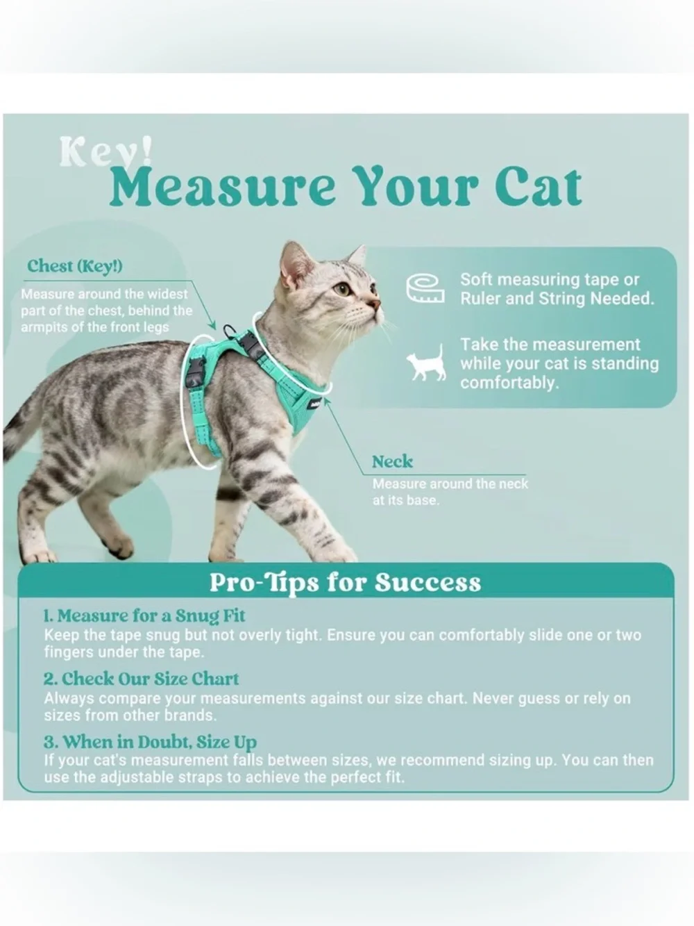 NWT Adjustable Mint Green Cat Harness and Leash Set - Comfort Fit SIZE SMALL